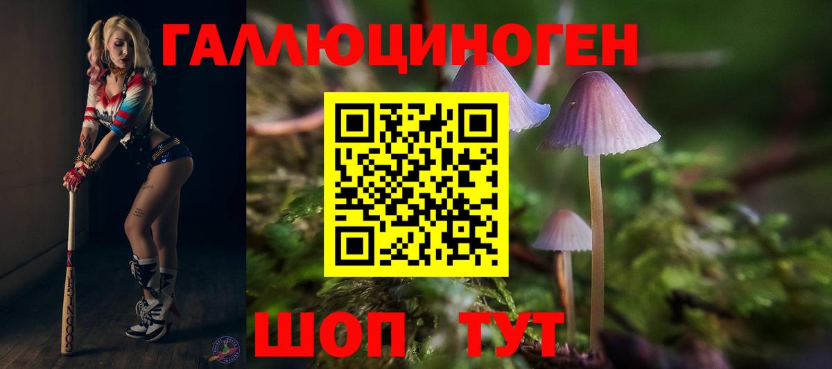 Псилоцибиновые грибы мухоморы Карабулак