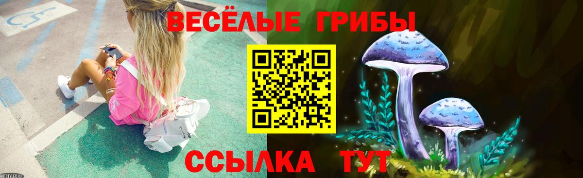Карабулак  Галлюциногенные грибы мухоморы  Вход с VPN  Псилоцибиновые грибы Psilocybe 